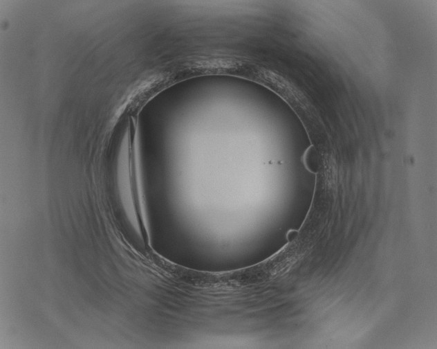 X0000071790731200607211621