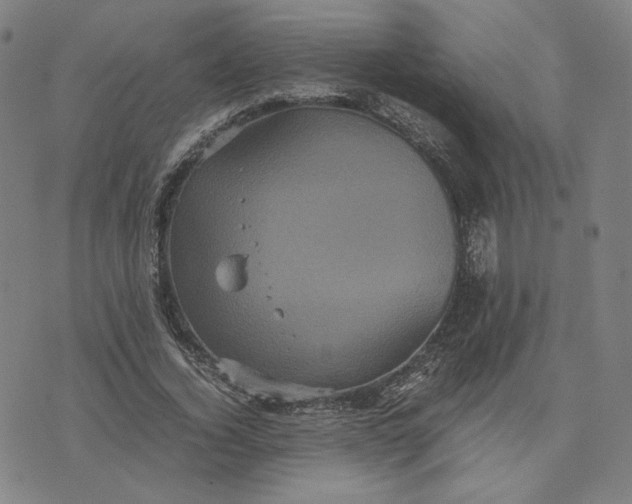 X0000071790732200607211621