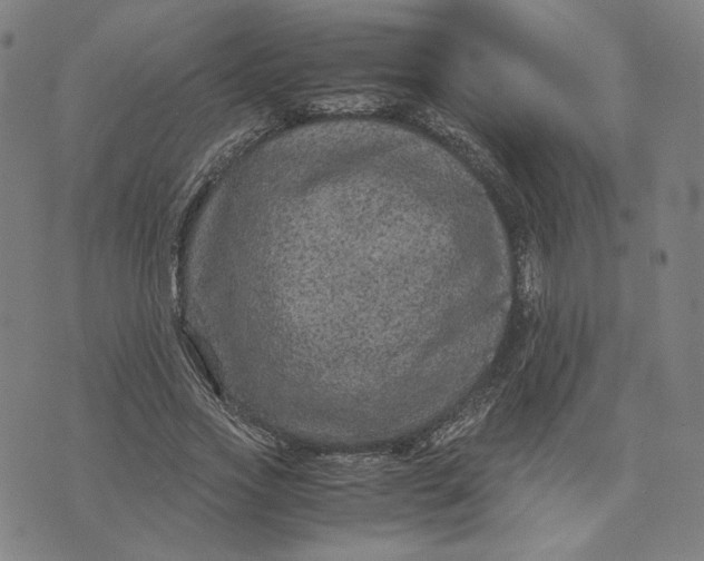 X0000071790733200607211621