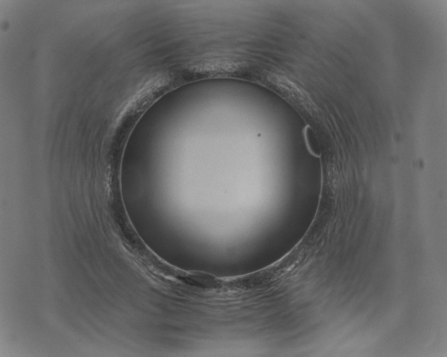 X0000071790735200607211621