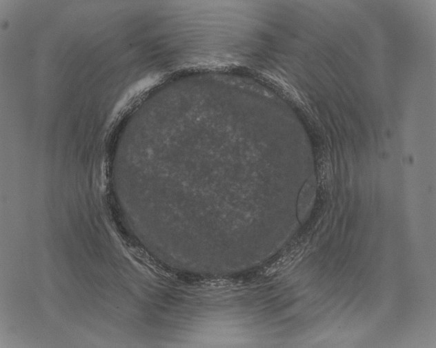 X0000071790736200607211621