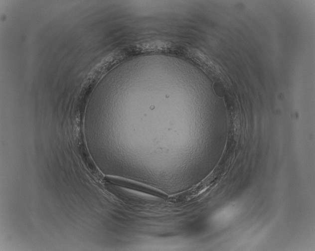 X0000071790737200607211621