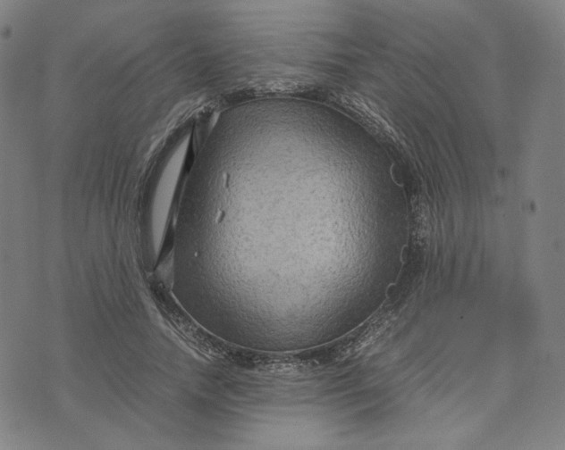 X0000071790738200607211621