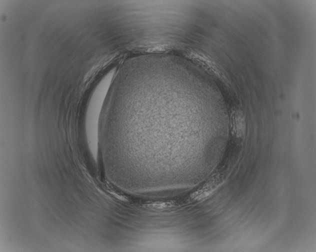 X0000071790740200607211621