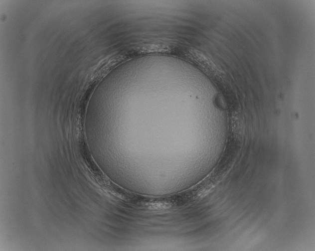 X0000071790741200607211621