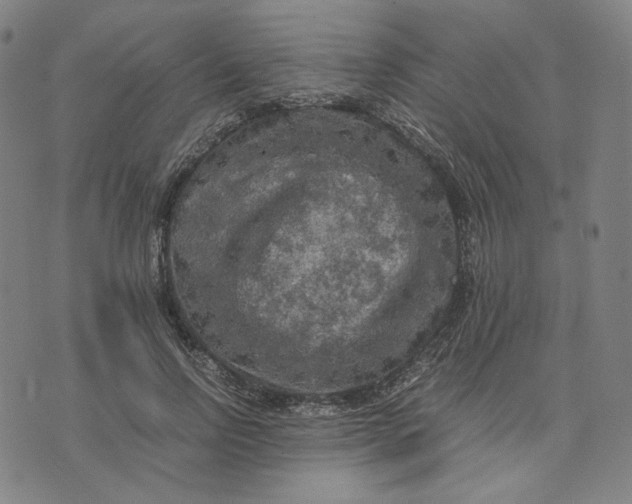 X0000071790742200607211621