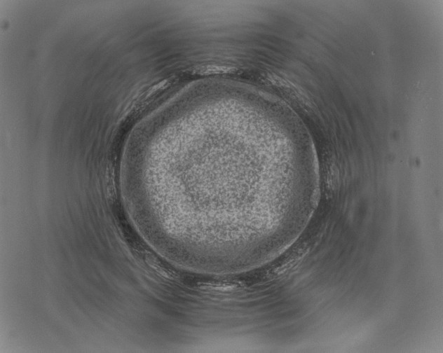 X0000071790743200607211621