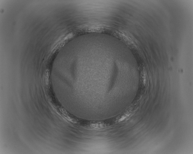 X0000071790744200607211621