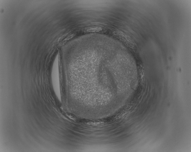 X0000071790745200607211621