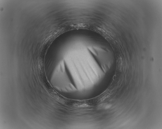 X0000071790747200607211621