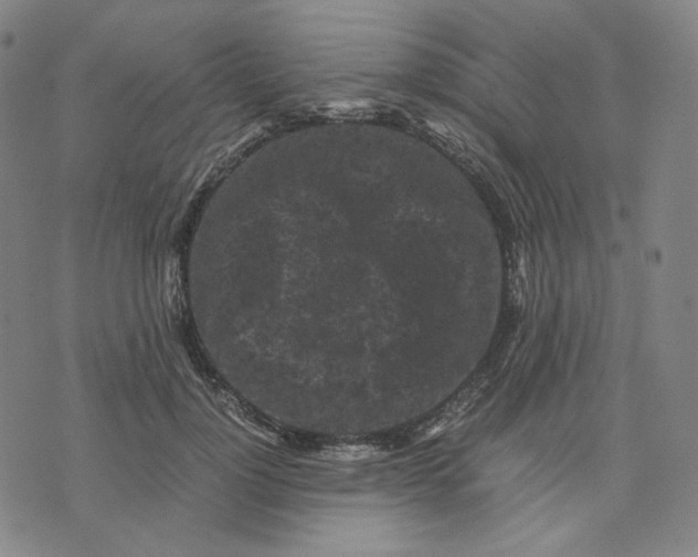 X0000071790748200607211622