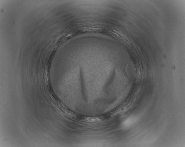 X0000071790749200607211622