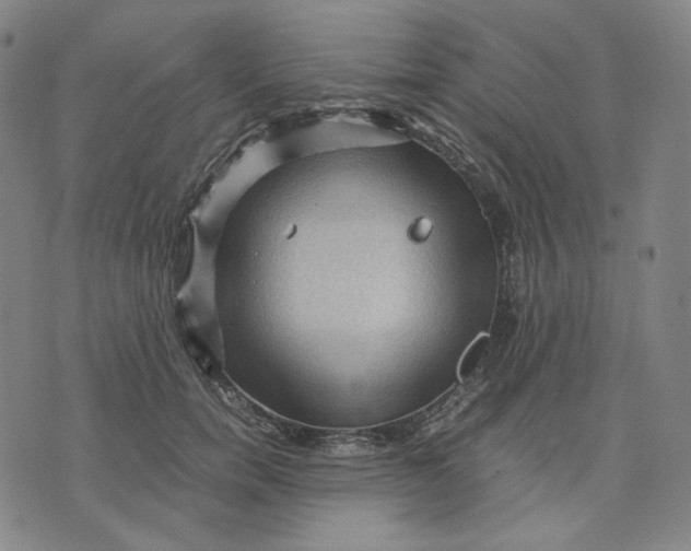 X0000071790750200607211622