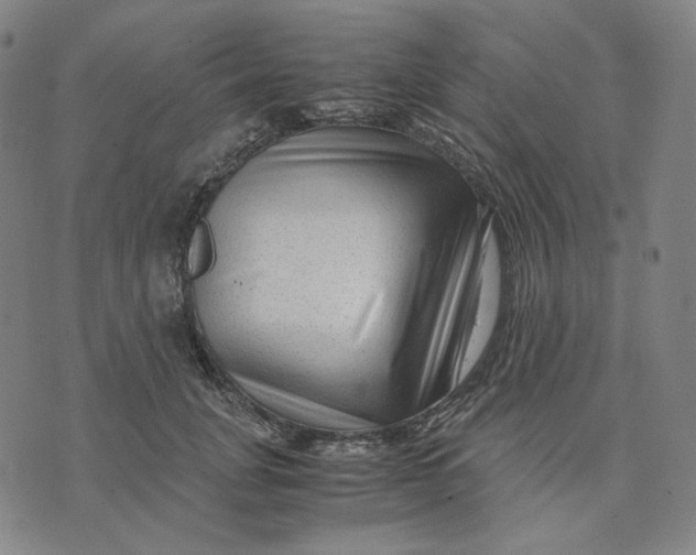 X0000071790751200607211622