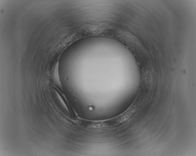 X0000071790752200607211622