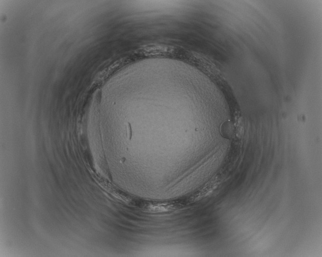 X0000071790753200607211622