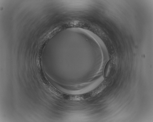 X0000071790754200607211622