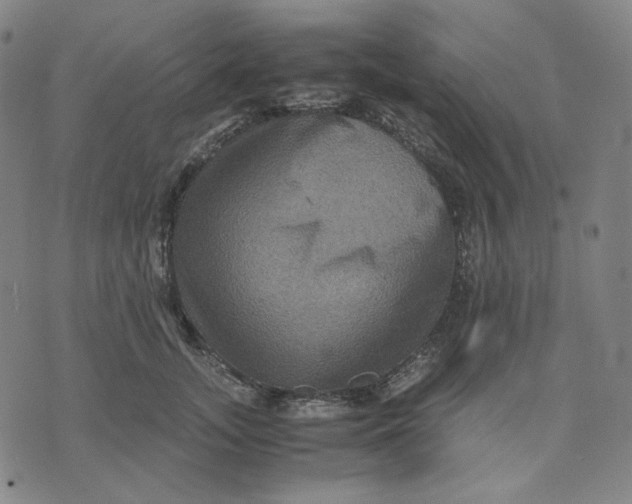 X0000071790755200607211622