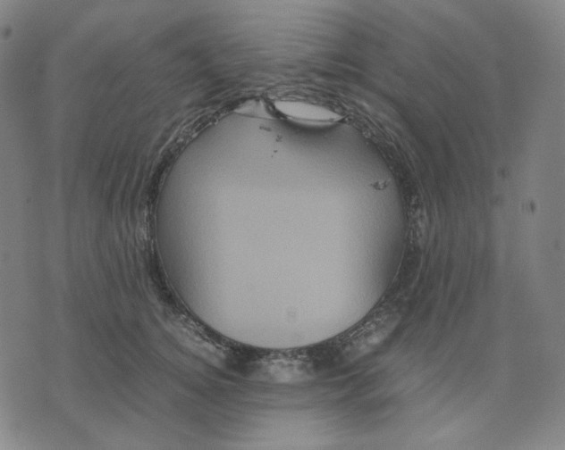 X0000071790756200607211622