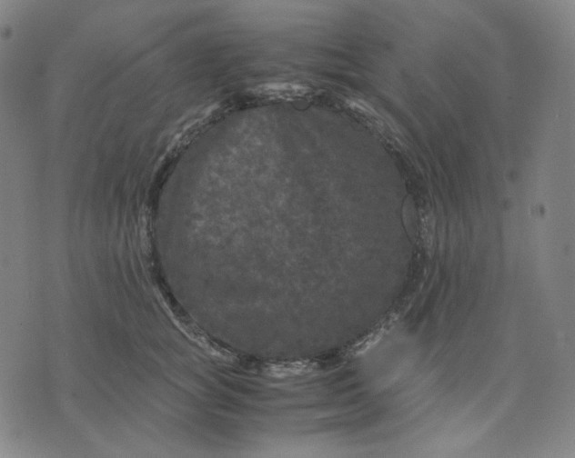 X0000071790757200607211622