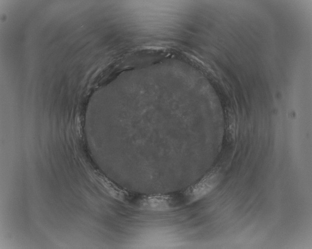 X0000071790758200607211622