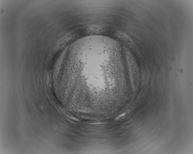 X0000071790759200607211622