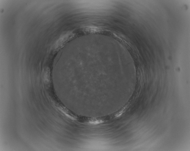 X0000071790760200607211622