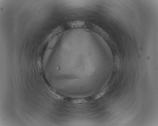 X0000071790761200607211622