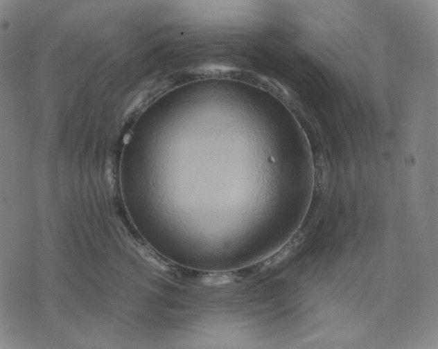 X0000071790762200607211622