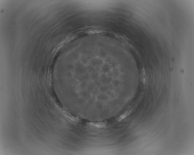 X0000071790763200607211622