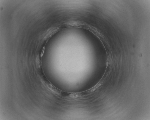 X0000071790764200607211622