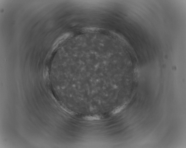 X0000071790765200607211622