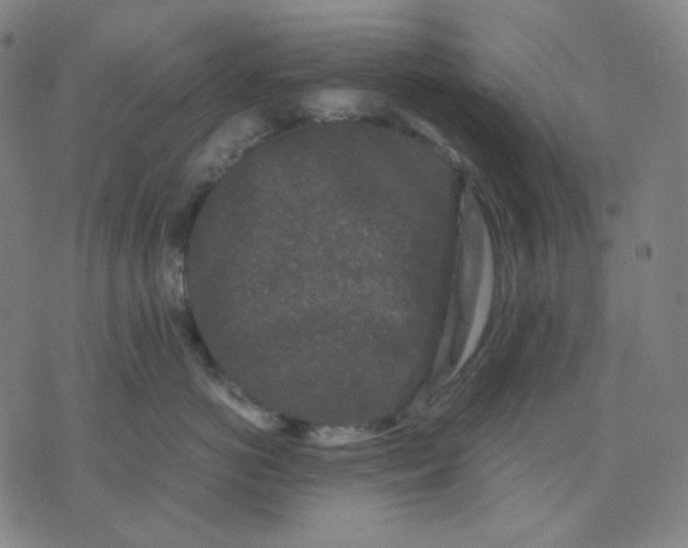 X0000071790766200607211622