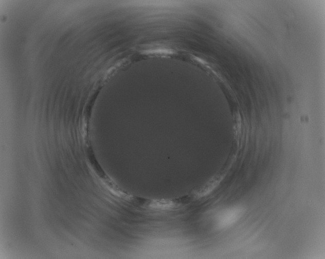 X0000071790767200607211622