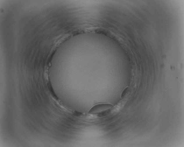 X0000071790768200607211622