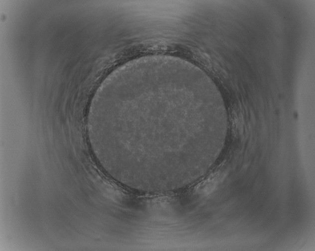 X0000071790769200607211621