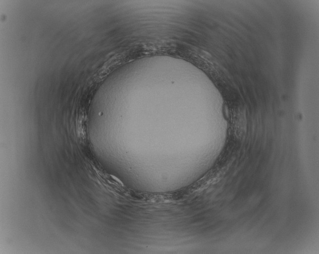 X0000071790770200607211621