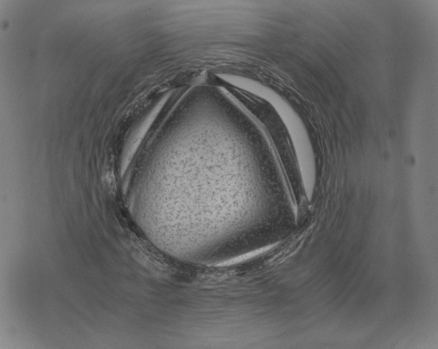 X0000071790771200607211621