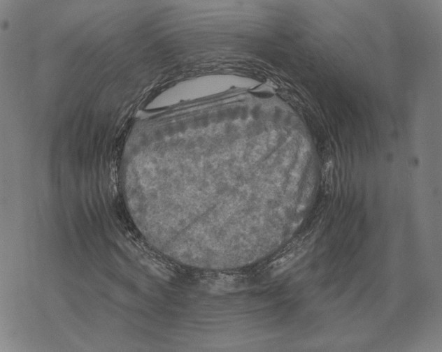 X0000071790772200607211621