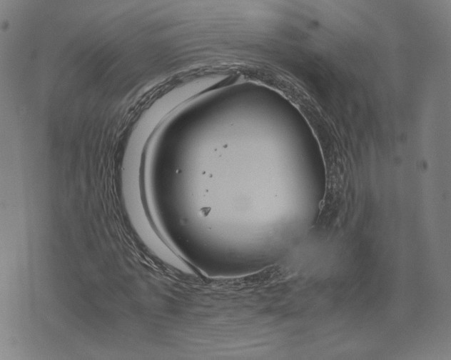 X0000071790773200607211621