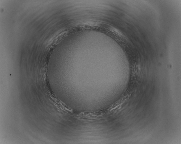 X0000071790774200607211621