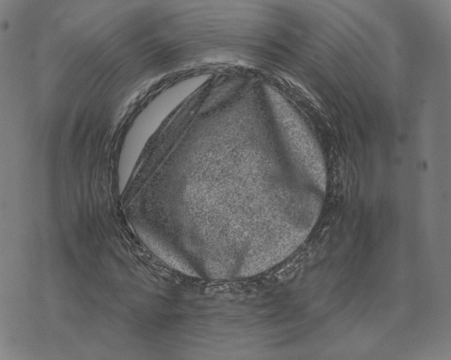 X0000071790776200607211621