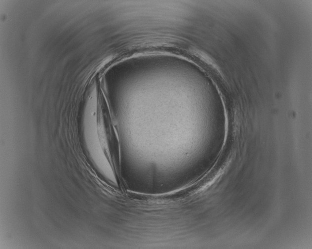 X0000071790777200607211621