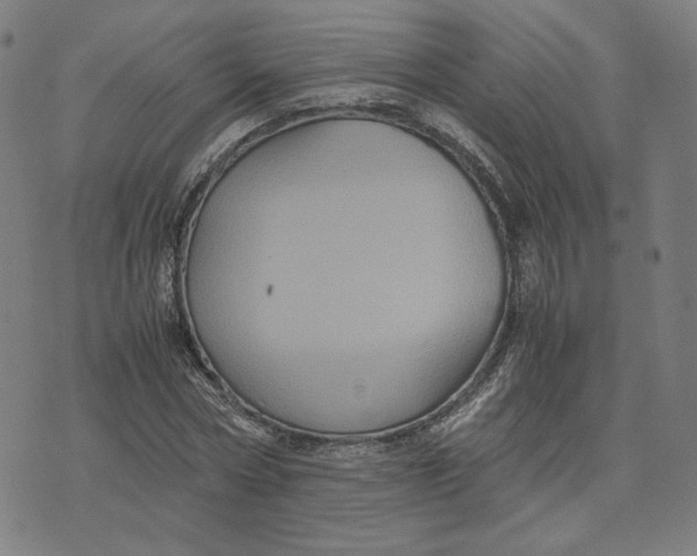 X0000071790778200607211621