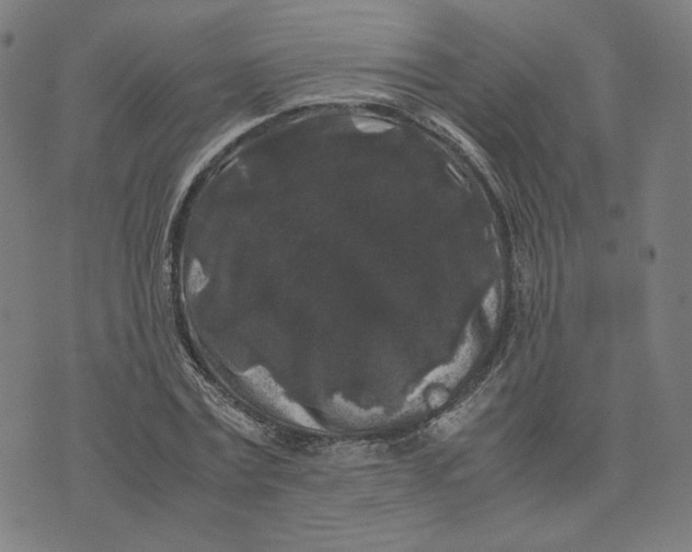 X0000071790779200607211621