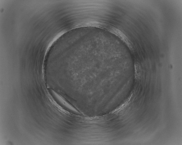 X0000071790780200607211621