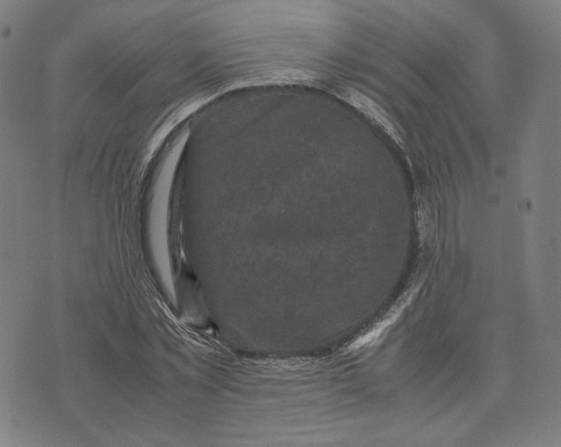 X0000071790781200607211621