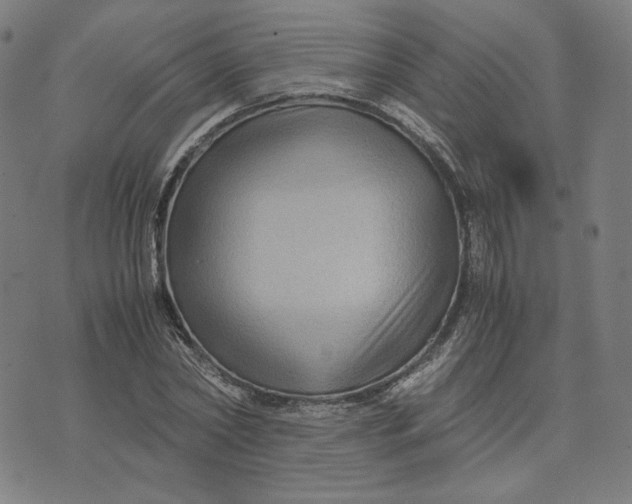 X0000071790782200607211621