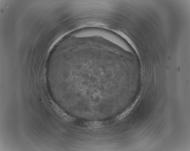 X0000071790783200607211621