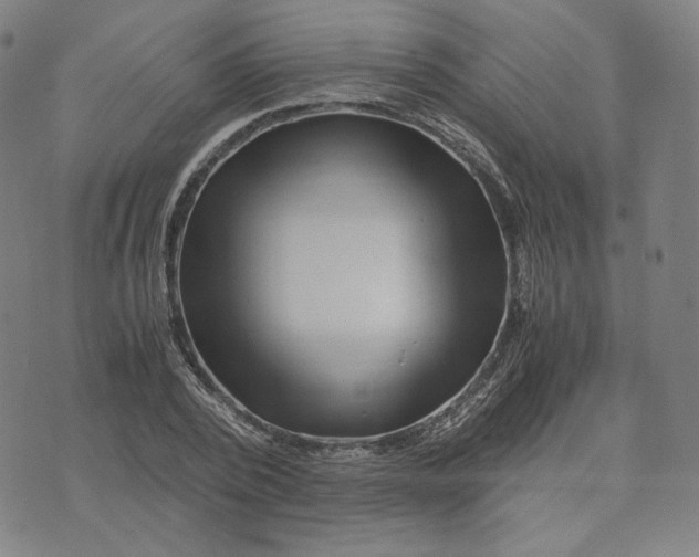 X0000071790784200607211621